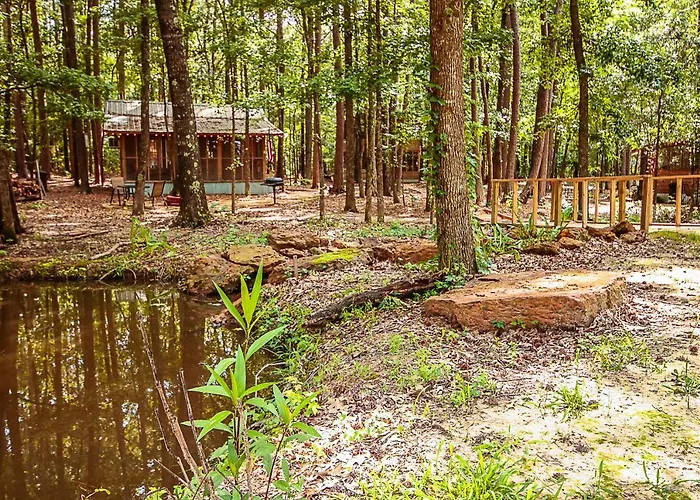 The Tree House